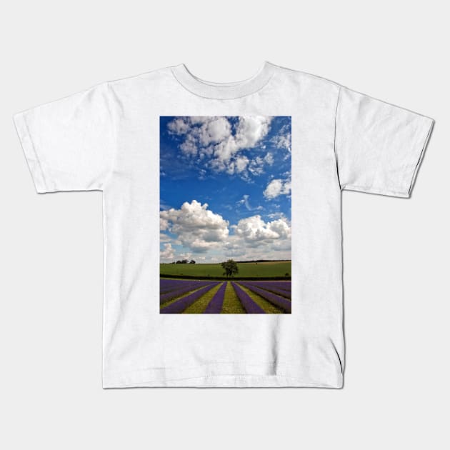 Lavender Field Purple Flowers Cotswolds England Kids T-Shirt by AndyEvansPhotos